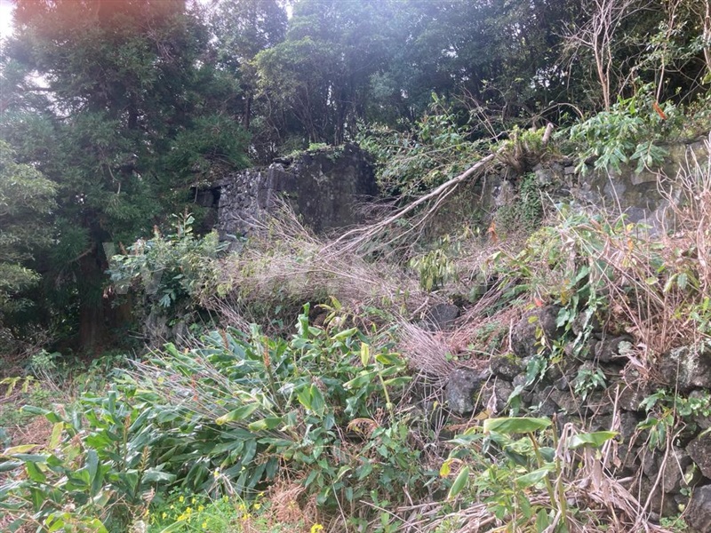 Moradia Rústica / Lajes do Pico, Calheta de Nesquim