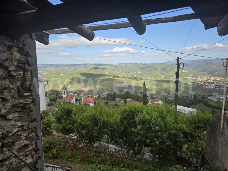 Moradia Rústica / Peso da Régua, Loureiro