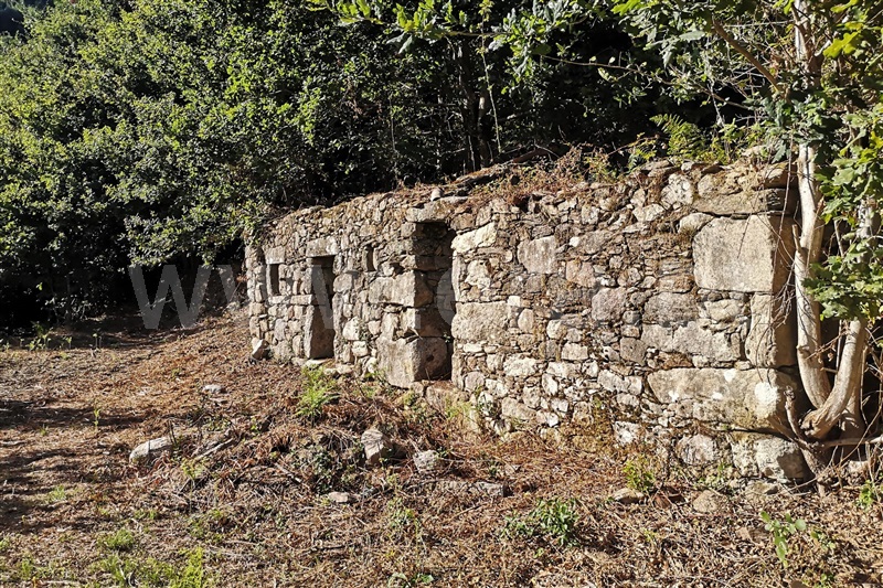 Moradia Rústica / Ponte de Lima, Labruja