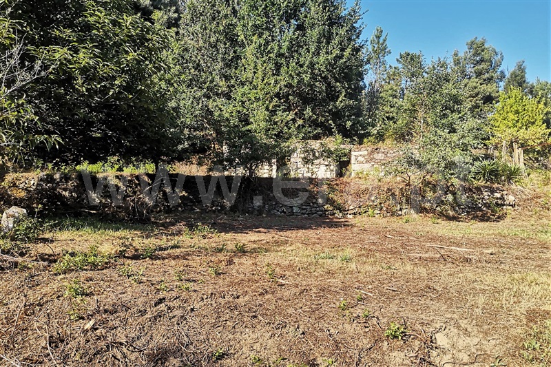 Terreno com ruina  Ponte de Lima, Labruja - 1263685 - 2