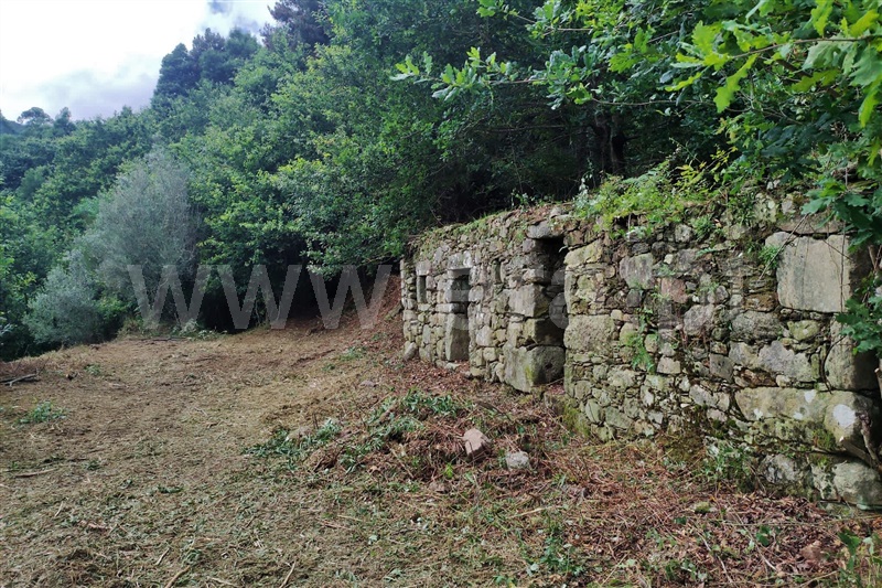 Terreno com ruina  Ponte de Lima, Labruja - 1263685 - 3