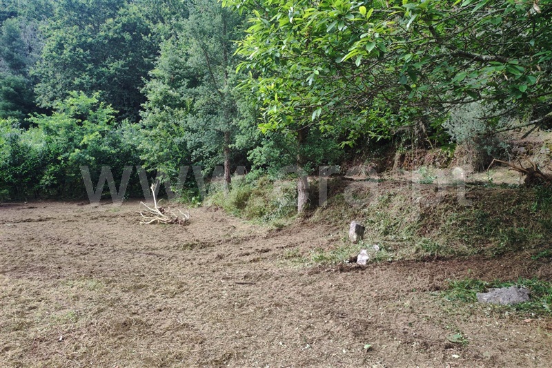 Terreno com ruina  Ponte de Lima, Labruja - 1263685 - 5
