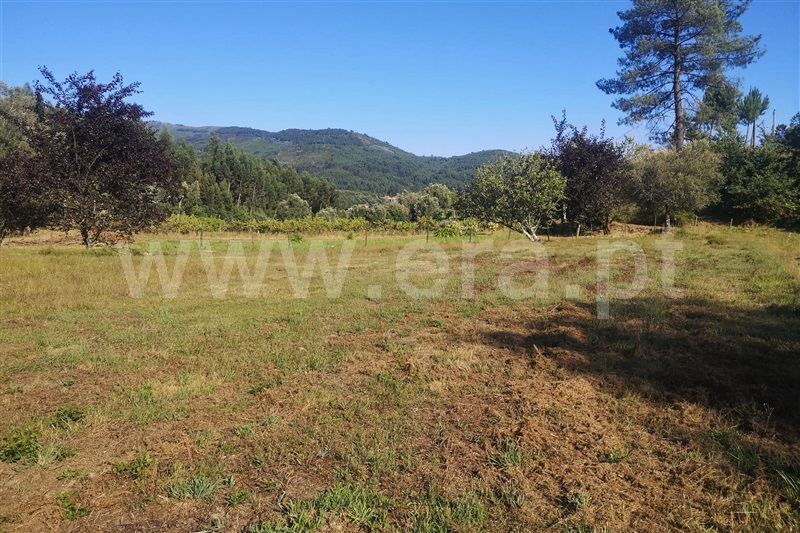 Terreno com ruina  Ponte de Lima, Labruja - 1263685 - 6