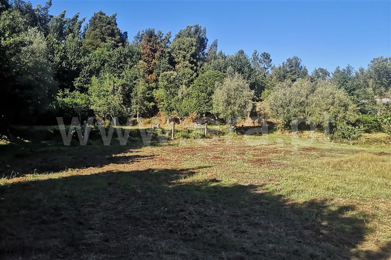 Terreno com ruina  Ponte de Lima, Labruja - 1263685 - 7