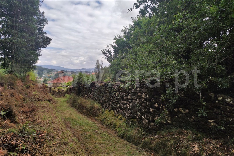 Terreno com ruina  Ponte de Lima, Labruja - 1263685 - 10