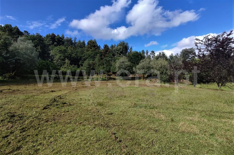 Terreno com ruina  Ponte de Lima, Labruja - 1263685 - 11