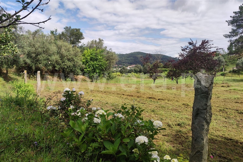 Terreno com ruina  Ponte de Lima, Labruja - 1263685 - 12