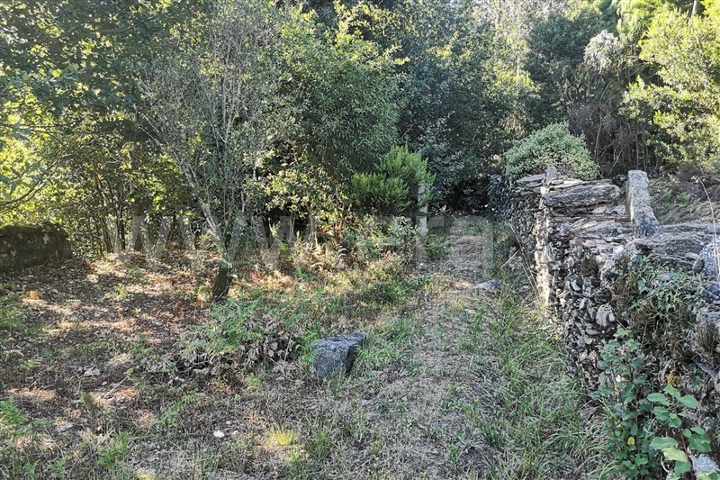 Terreno com ruina  Ponte de Lima, Labruja - 1263685 - 13