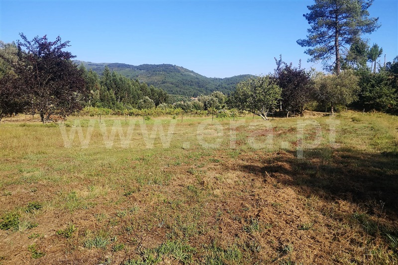 Terreno com ruina  Ponte de Lima, Labruja - 1263685 - 14