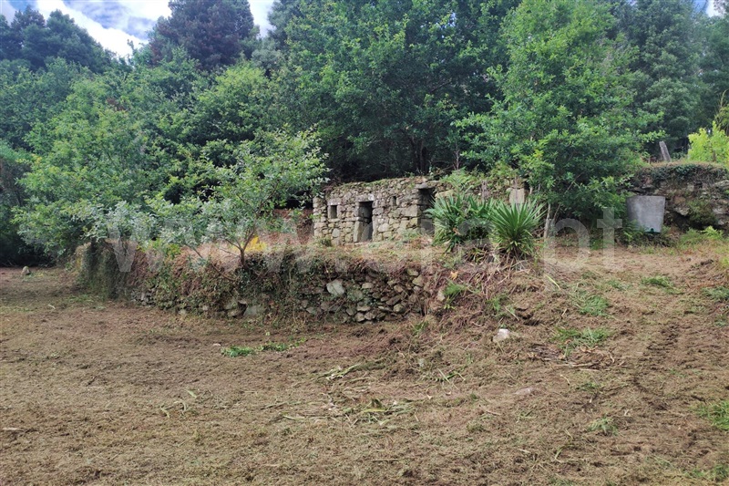 Terreno com ruina  Ponte de Lima, Labruja - 1263685 - 16