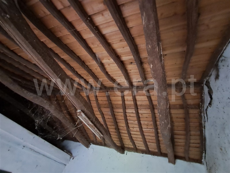 Moradia Rústica  Santa Cruz da Graciosa, São Mateus - 1453415 - 12