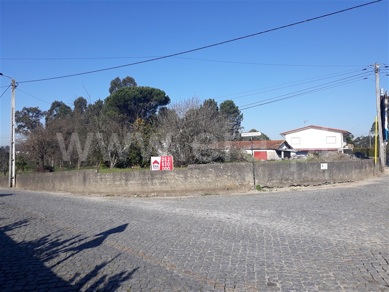 Moradia Rústica / Santo Tirso, Palmeira