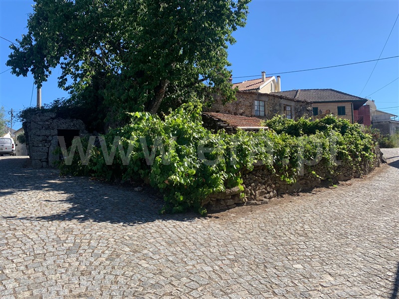 Terreno com ruina  Sátão, Lages - 1347501 - 4