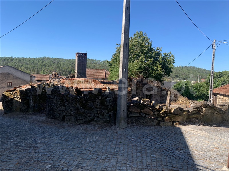 Terreno com ruina  Sátão, Lages - 1347501 - 6