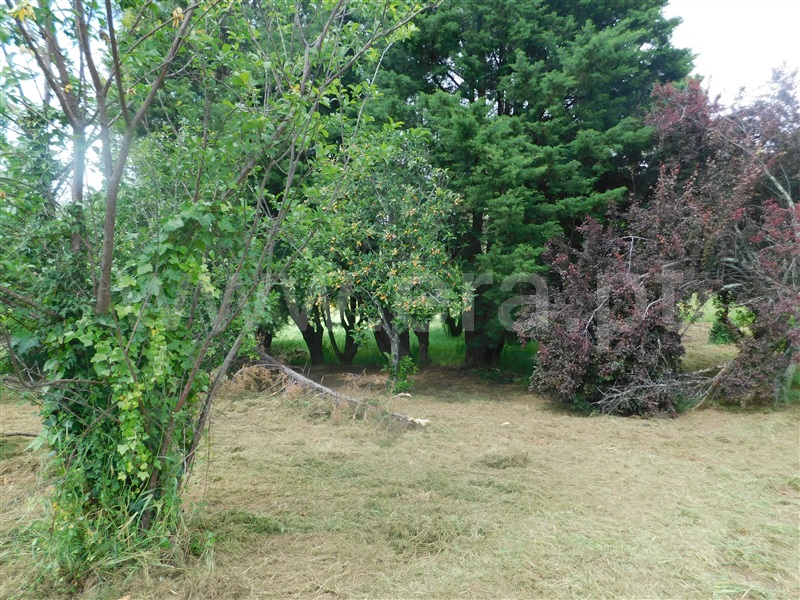 Moradia à venda em Santiago, Seia — foto 19