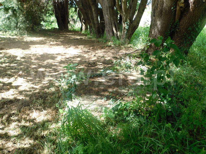 Moradia à venda em Santiago, Seia — foto 20