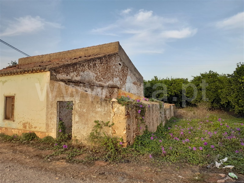 Moradia Rústica  Silves, São Bartolomeu de Messines - 1335540 - 3