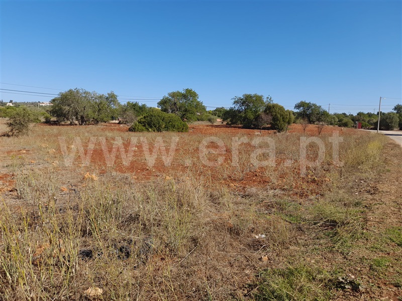 Moradia Rústica  Silves, São Bartolomeu de Messines - 1335540 - 4