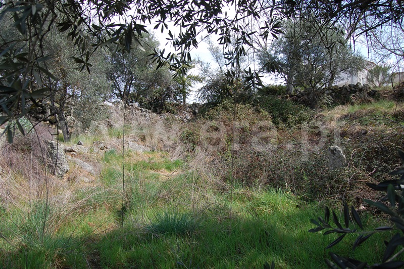 Moradia Rústica  Belmonte, Inguias - 1386697 - 14