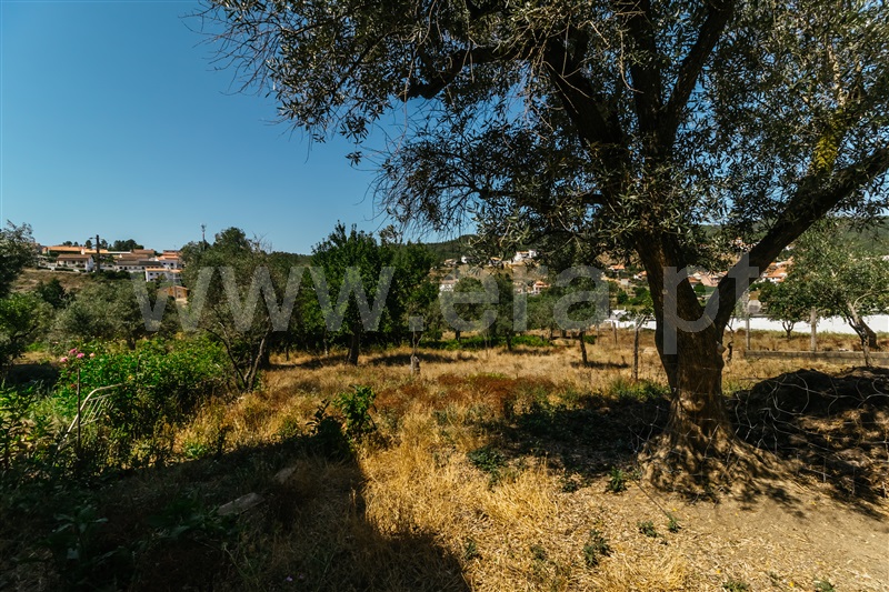 Moradia Rústica  Covilhã, Casegas - 1345780 - 13