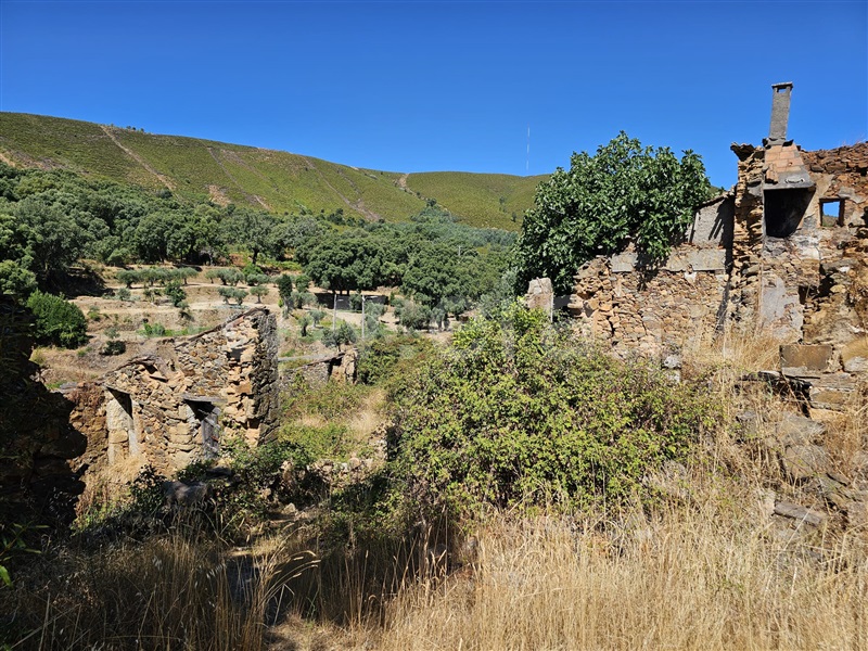 Moradia T1 à venda em Telhado, Fundão — foto 4