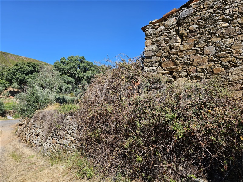 Moradia T1 à venda em Telhado, Fundão — foto 2