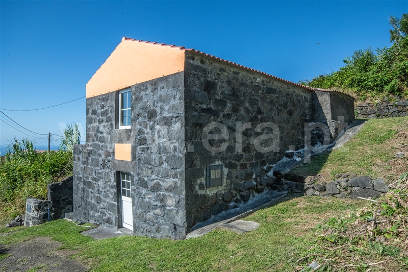 Moradia Rústica T1 Horta, Cedros - 1501392 - 2