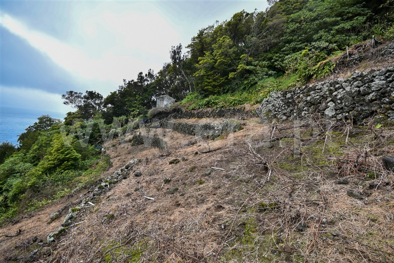 Moradia T1 à venda em Ribeiras, Lajes do Pico — foto 10