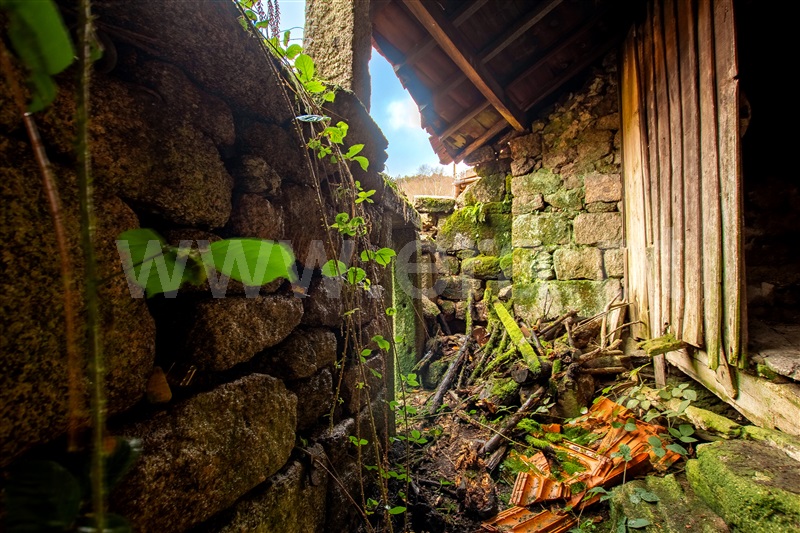 Moradia Rústica T1 Melgaço, Castro Laboreiro e Lamas de Mouro - 1349063 - 11