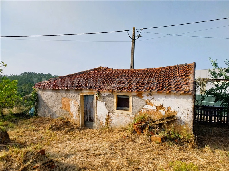 Moradia Rústica T1 Tomar, Além da Ribeira e Pedreira - 1478178 - 3
