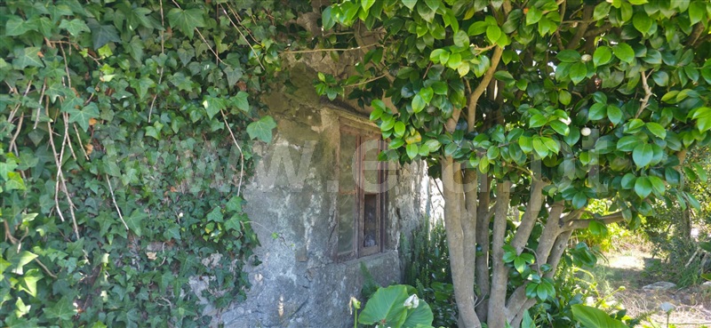 Moradia T1 à venda em Junqueira, Vila do Conde — foto 2