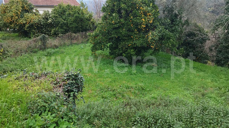 Moradia T2 Amarante, Rebordelo - 1463867 - 13