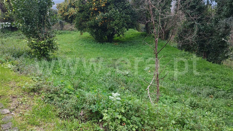 Moradia T2 Amarante, Rebordelo - 1463867 - 14