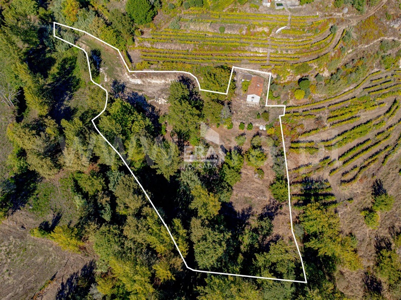 Moradia Rústica T2 / Baião, Santa Cruz do Douro e São Tomé de Covelas