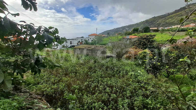 Moradia Rústica T2 Calheta (Madeira), Arco da Calheta - 1373738 - 10