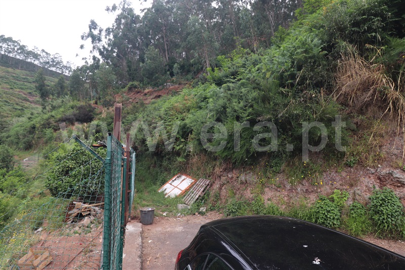 Moradia Rústica T2 Câmara de Lobos, Quinta Grande - 1495828 - 4