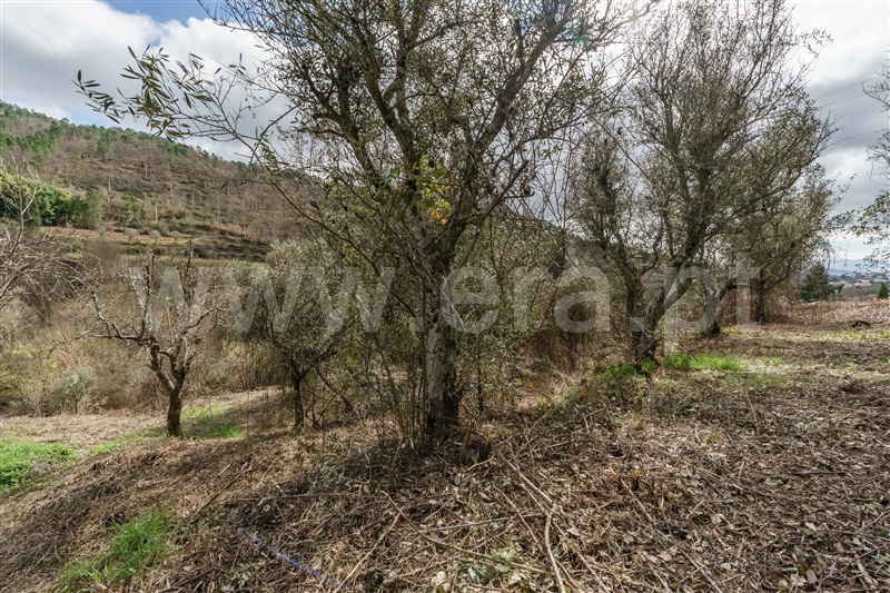Moradia T2 à venda em Teixoso, Covilhã — foto 14