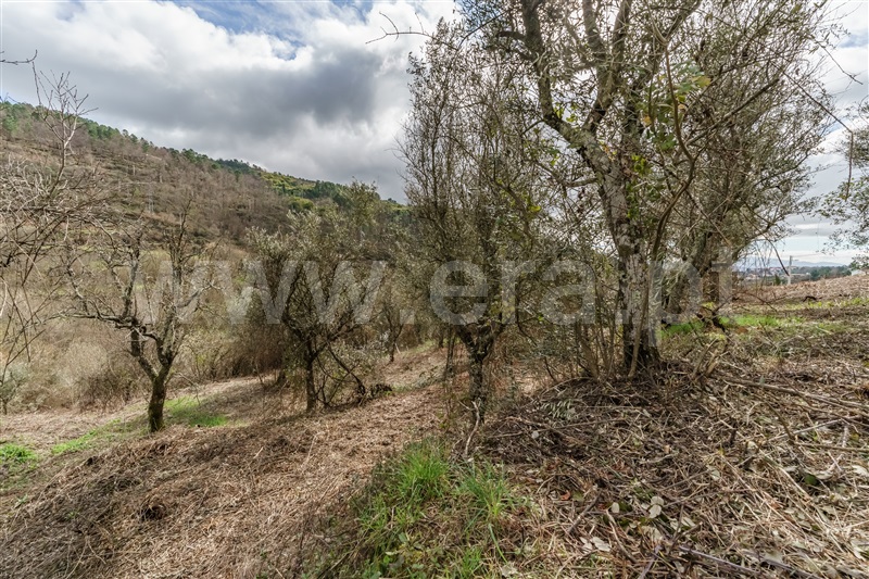 Moradia T2 à venda em Teixoso, Covilhã — foto 15