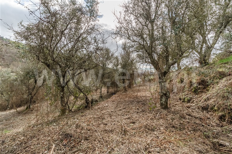 Moradia T2 à venda em Teixoso, Covilhã — foto 16