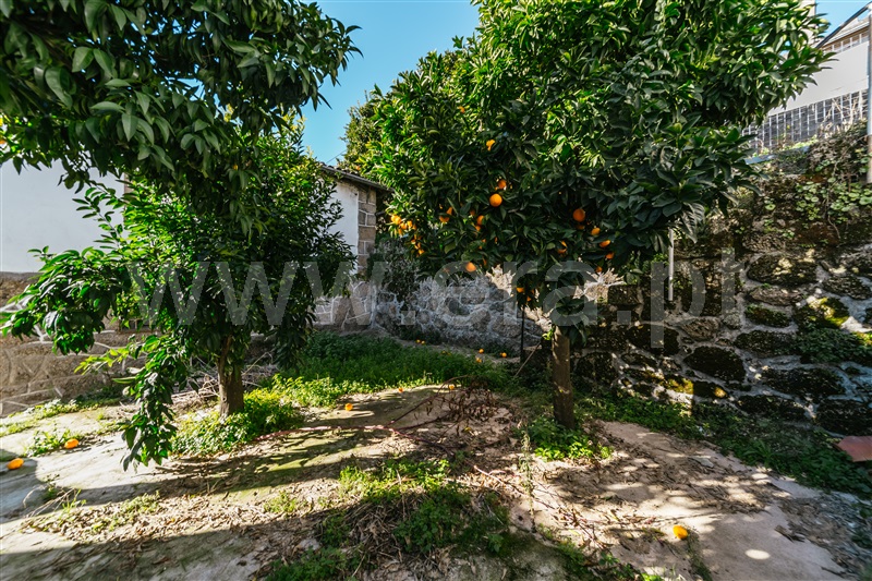Moradia Rústica T2 com Quintal Covilhã, Vale Formoso - 1446636 - 26