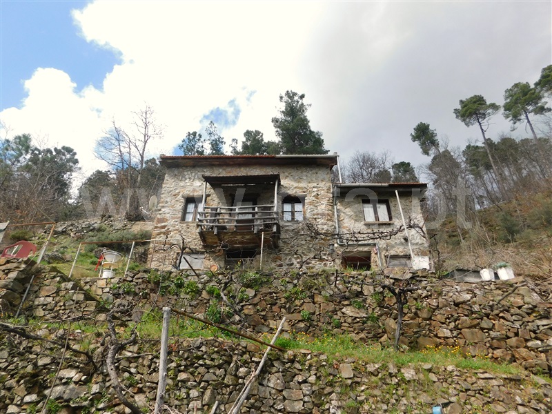 Moradia Rústica T2 com Terreno Manteigas, Serra da Estrela - 1450682 - 20