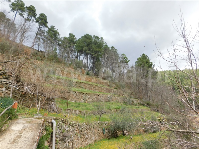 Moradia Rústica T2 com Terreno Manteigas, Serra da Estrela - 1450682 - 23