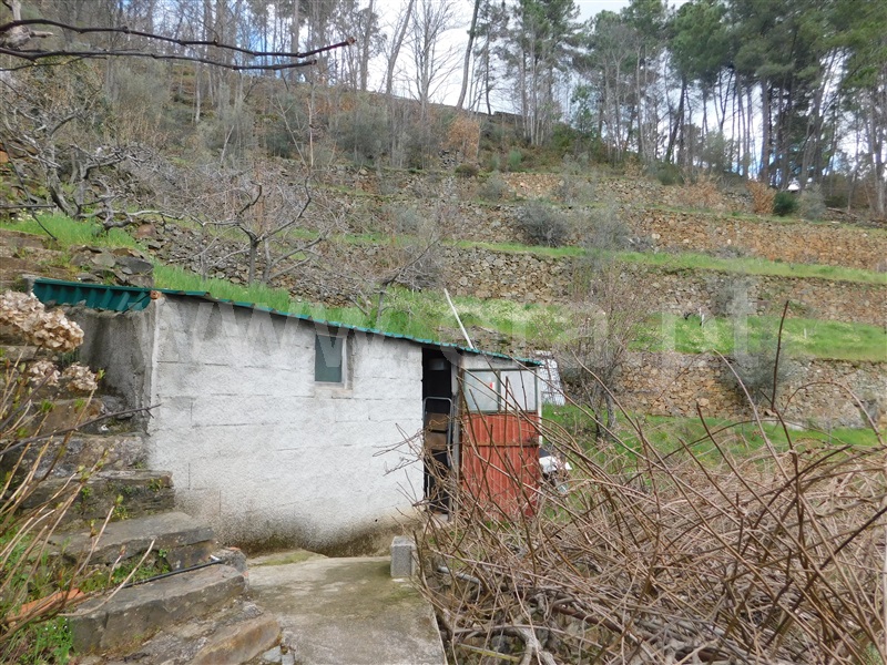 Moradia Rústica T2 com Terreno Manteigas, Serra da Estrela - 1450682 - 51