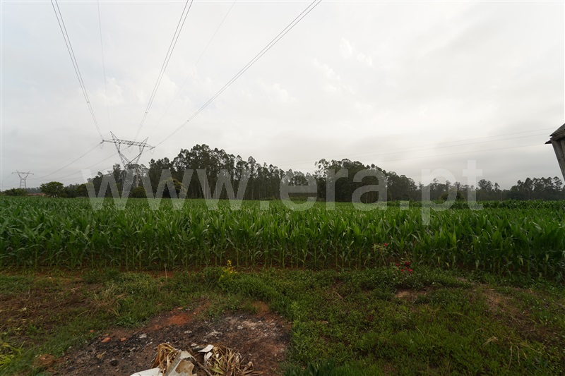Moradia T2 à venda em Loureiro, Oliveira de Azeméis — foto 4