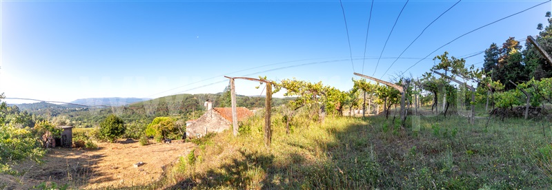 Moradia Rústica T2 Paredes de Coura, Cossourado e Linhares - 1117568 - 28