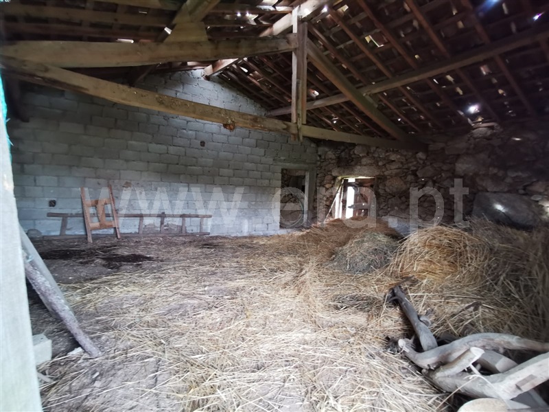 Moradia Rústica T2 Pinhel, Agregação das freguesias Sul de Pinhel - 1287658 - 5