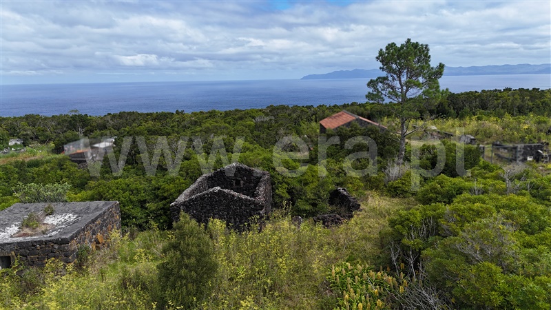 Moradia T2 à venda em Santo António, São Roque do Pico — foto 16