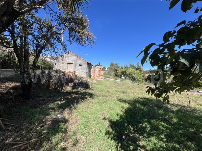 Moradia Rústica T2 com Terreno Vale de Cambra, Macieira de Cambra - 1360188 - 11