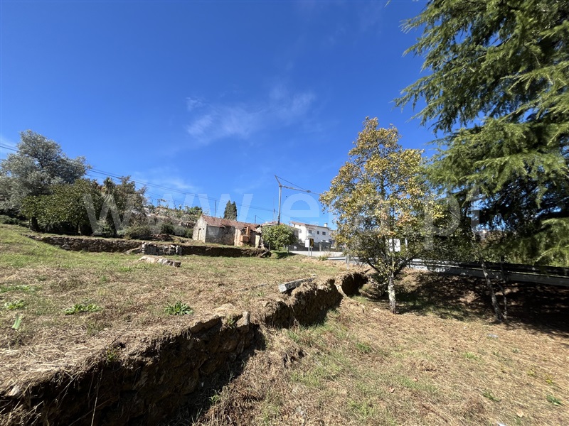 Moradia Rústica T2 com Terreno Vale de Cambra, Macieira de Cambra - 1360188 - 16