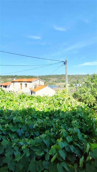Moradia T3 à venda em Aguiar da Beira e Coruche, Aguiar da Beira — foto 15